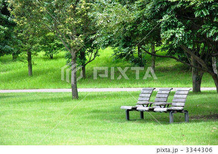 公園のベンチ 公園のベンチ 3344306