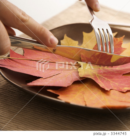 Fall leaf concept. 3344745