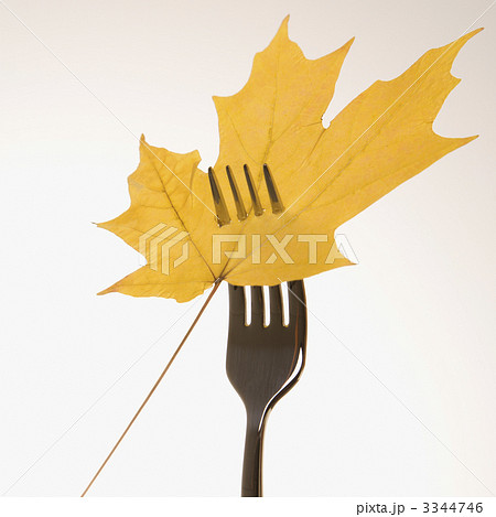 Maple leaf on fork. 3344746