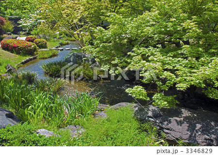 好古園　流れの平庭 3346829
