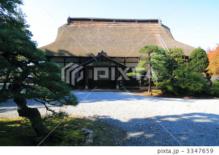 津軽為信が祭られている革秀寺 津軽為信が祭られている革秀寺 3347659