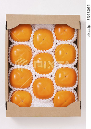 平核無柿 3348066