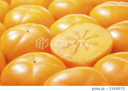 平核無柿 3348070