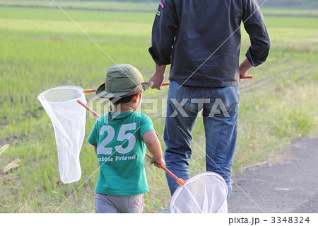 昆虫採集 3348324