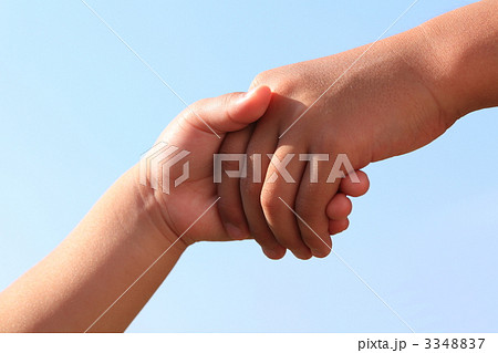 手を握る 3348837