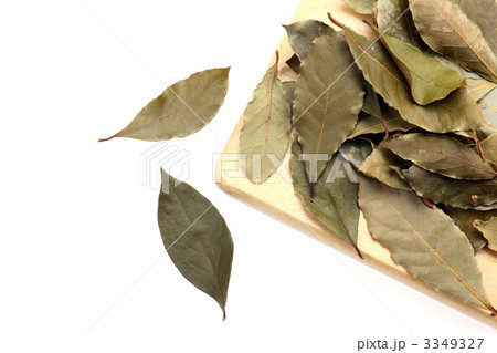 ローリエ 3349327