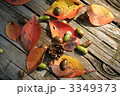 秋模様 3349373
