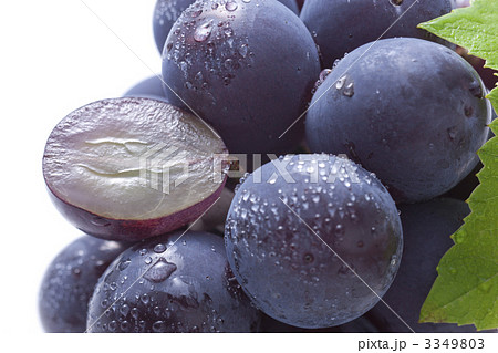 ピオーネ 3349803