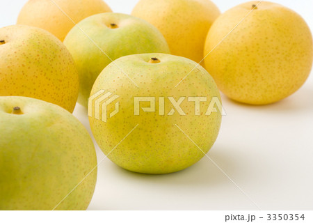 二十世紀梨 3350354