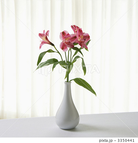 Flowers in vase. 3350441