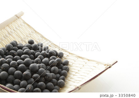 3350840