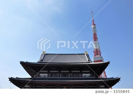 芝増上寺 大殿と東京タワー 芝増上寺 大殿と東京タワー 3350845