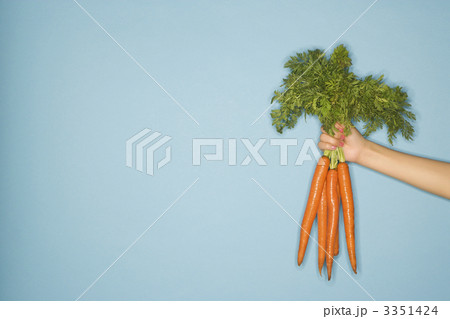 Bunch of carrots. 3351424