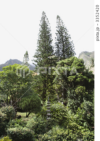 Scenic shot of park. 3352420