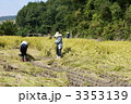稲刈りする人々 3353139