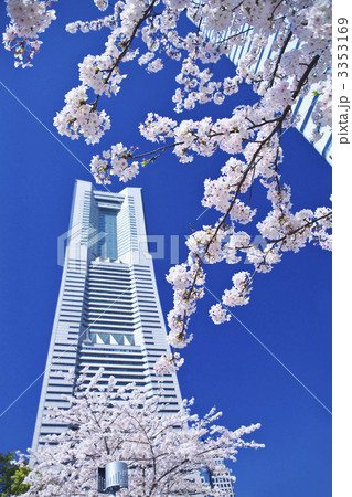 横浜ランドマークタワーと桜 横浜ランドマークタワーと桜 3353169