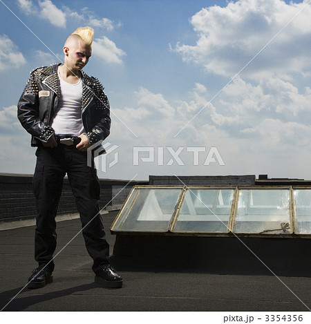 Punk standing on roof. 3354356