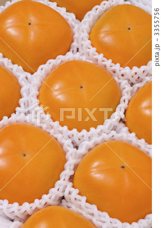 平核無柿 3355756