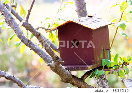 巣箱 3357519