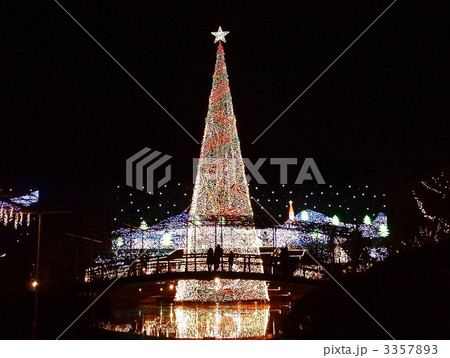 足利フラワーパーク　イルミネーション 3357893