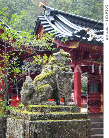 箱根神社の狛犬 3359101