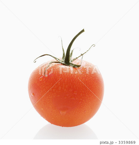 Garden vegetable. Garden vegetable. 3359869