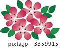 ツツジ 3359915