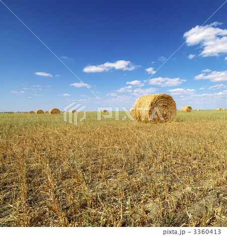 Hay bales in field. 3360413