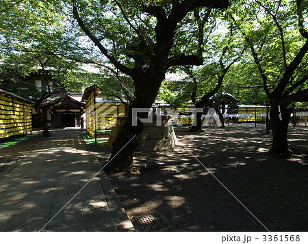 靖国神社　みたま祭 3361568