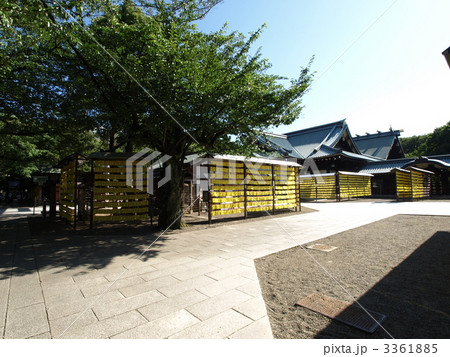 靖国神社　みたま祭 3361885