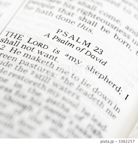 Holy Bible Psalm. 3362257