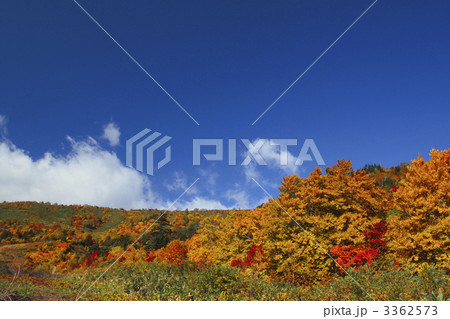 八幡平の紅葉 3362573