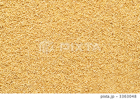 もちあわ もちあわ 3363048