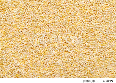 もちきび 3363049