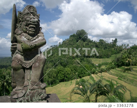 バリ島　ブキッジャンブルのライスガーデンとガルーダ　棚田・水田・田園 3363278