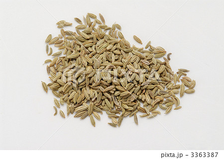 フェンネル 3363387