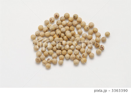 ホワイトペッパー ホワイトペッパー 3363390