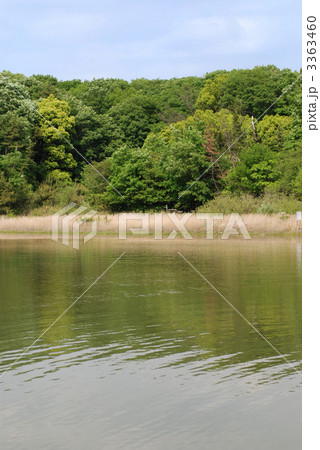 名古屋・小幡緑地 3363460