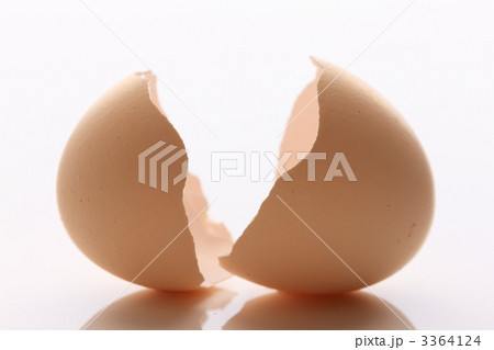 卵の殻 3364124