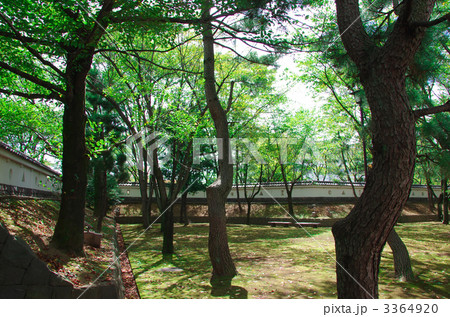 忍城-庭 忍城-庭 3364920