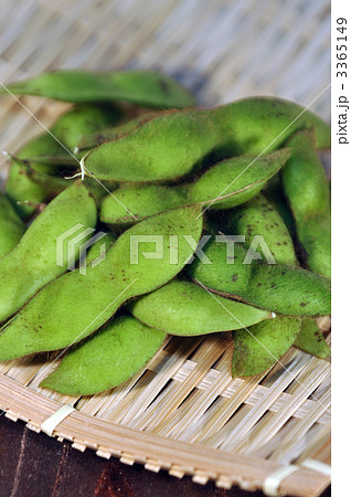 黒豆の枝豆 3365149