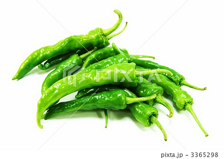 青唐辛子たくさん横位置 3365298