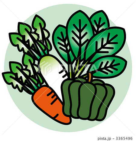 カロチン 3365496