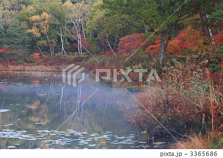 一沼の紅葉 一沼の紅葉 3365686