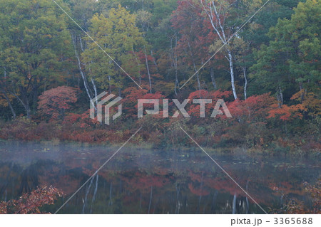 一沼の紅葉 一沼の紅葉 3365688