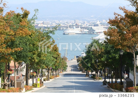 函館の名所八幡坂 3366235