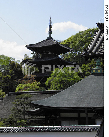 当麻寺 東塔 中之坊 当麻寺 東塔 中之坊 3366403