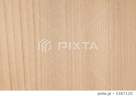 カツラ材 3367120