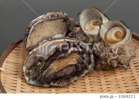 あわび&さざえ あわび&さざえ 3369221