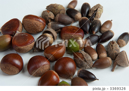 秋の味覚 秋の味覚 3369326